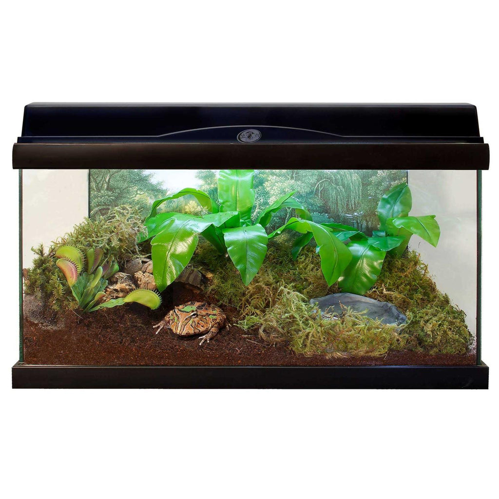 Loose Coconut Fiber Substrate R40139