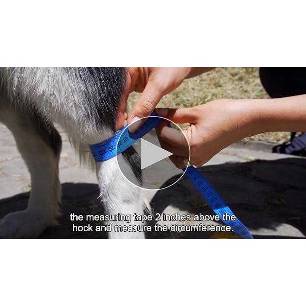 Dog Hock Brace Rear Leg Joint Wrap L786118