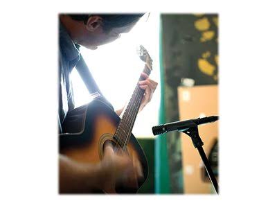 Black Metallic Cardioid Microphone O39663