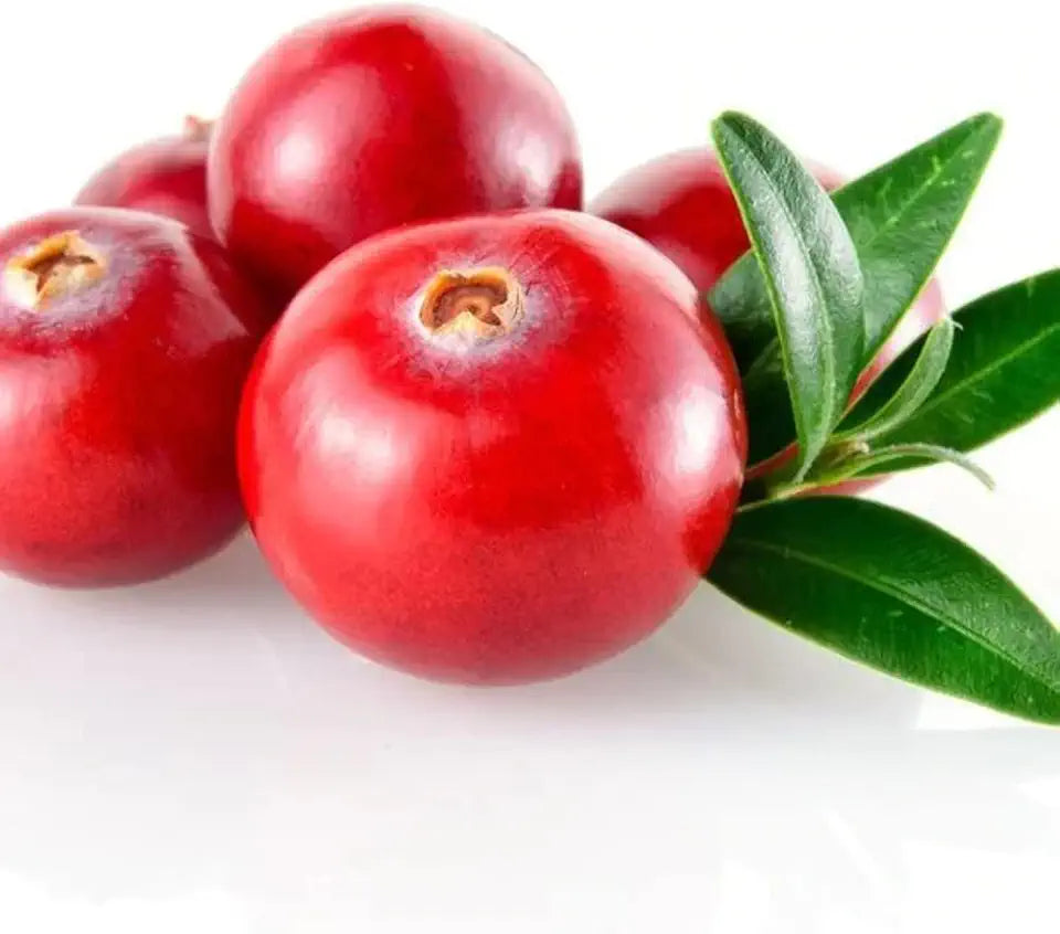 Cranberry Enzyme Water Soluble 4oz Pouch W699