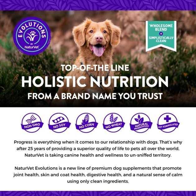 Soft Chew Supplement for adult Dogs L7767