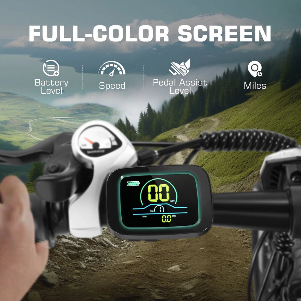 500W 26" Electric Bike Y163