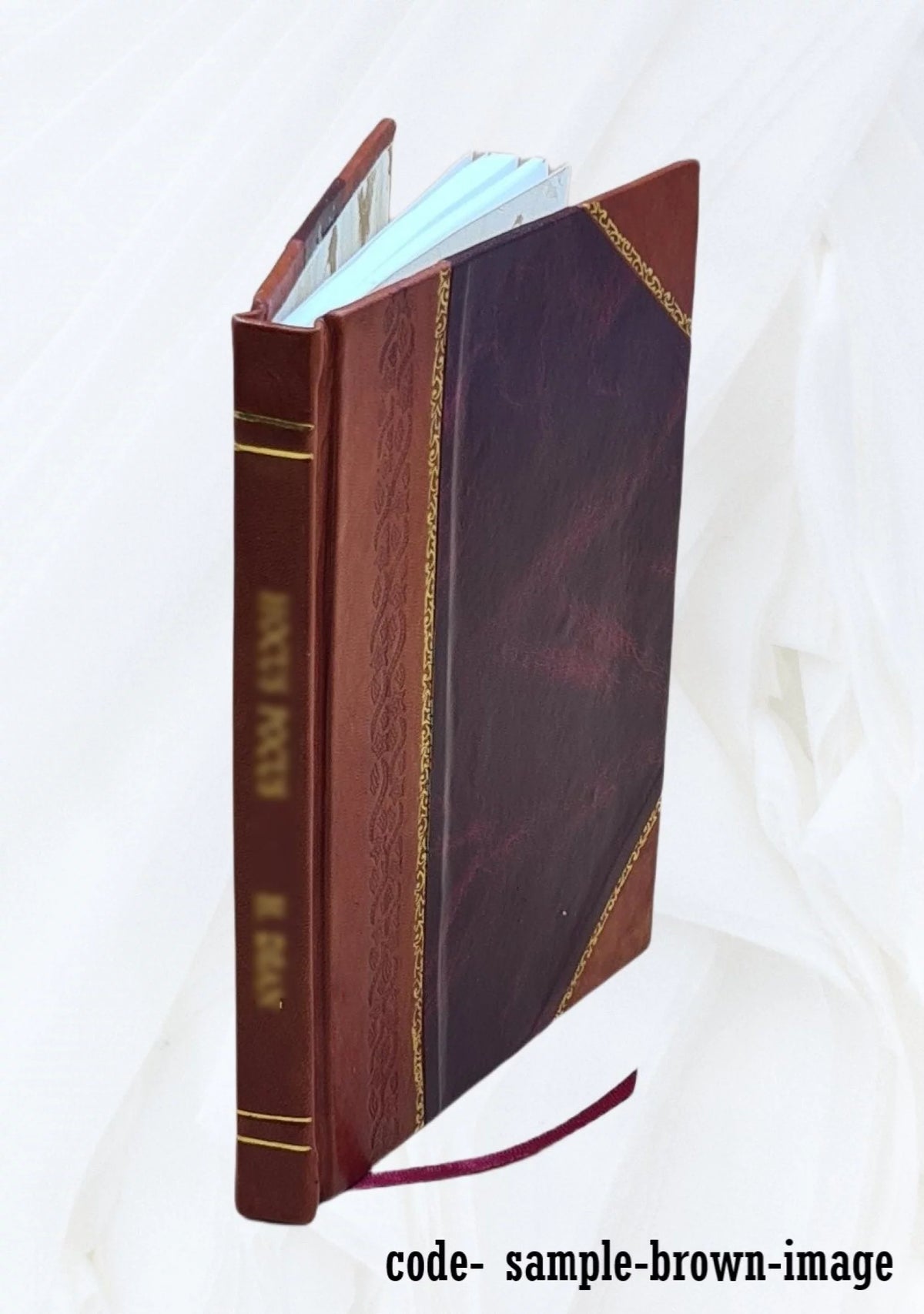Hommage de l'Institut égyptien 1912 Leather Bound M924