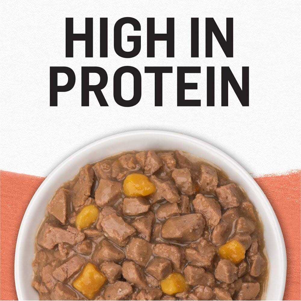 Grain Free Salmon & Sweet Potato Cat Food P313