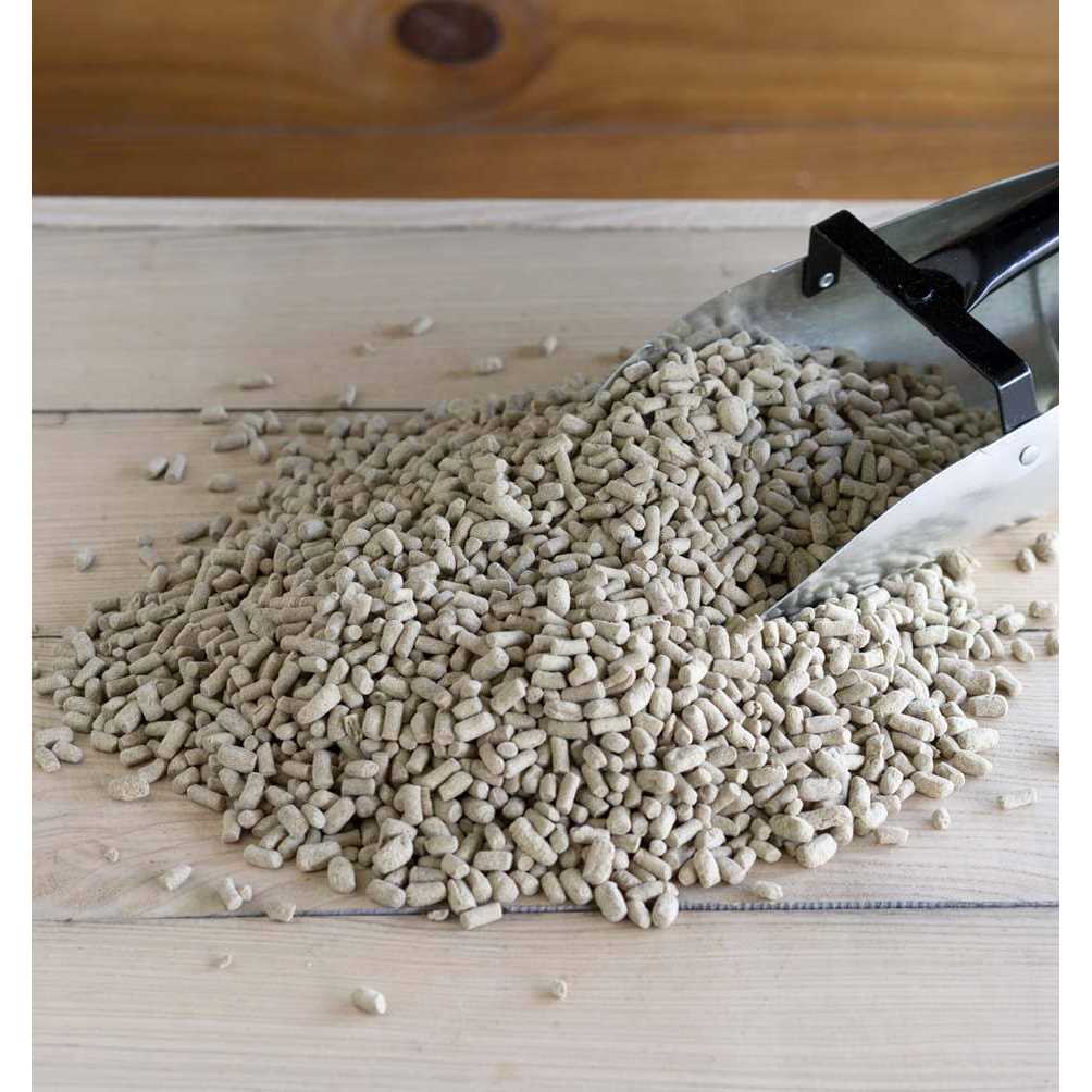 Rice Bran W154