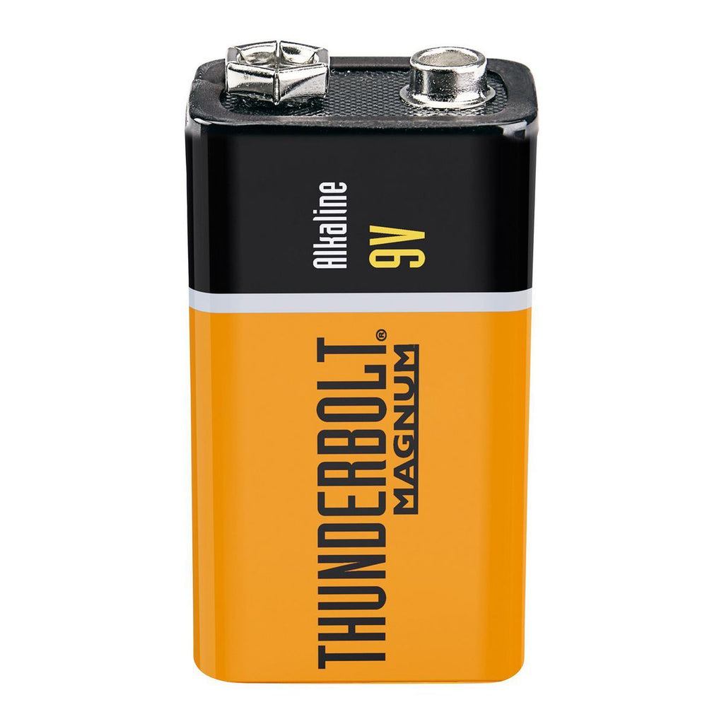 9V Alkaline Batteries 4-Pack H854