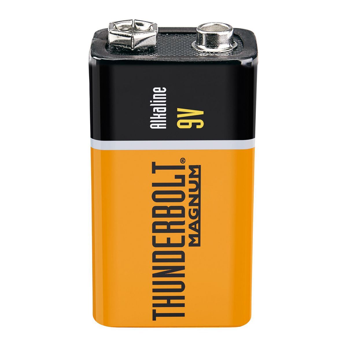 9V Alkaline Batteries 4-Pack H854