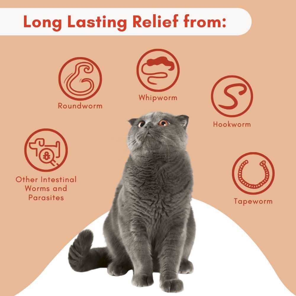 Broad Spectrum Dewormer for Cats and Kittens I579881