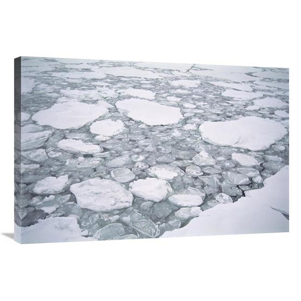 24 x 36 in. Sea Ice Art Print U410596