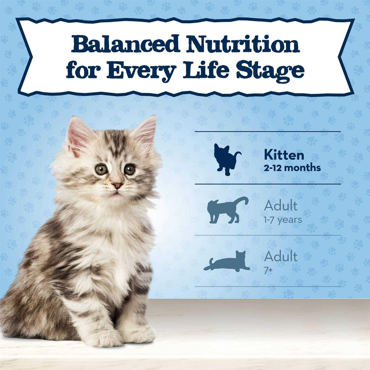 High Protein Natural Dry Kitten Food E109