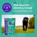 Soft Chew Supplement for adult Dogs L7767