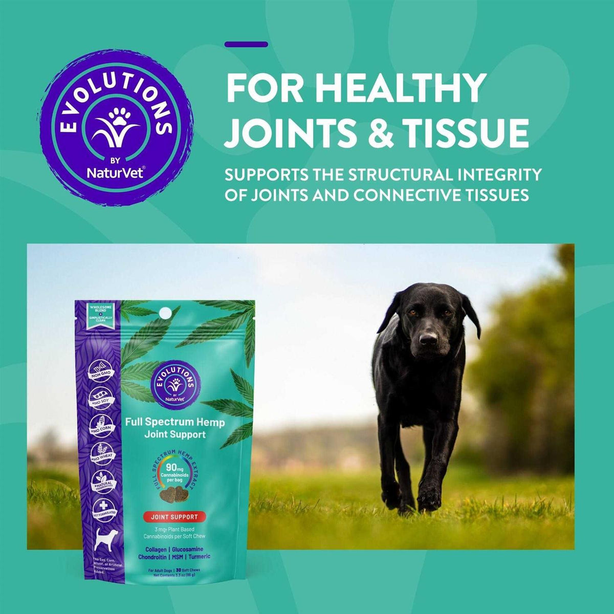 Soft Chew Supplement for adult Dogs L7767