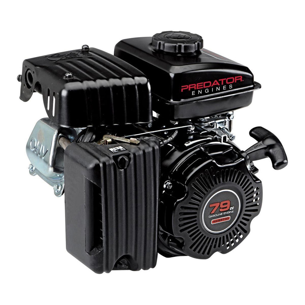 79cc OHV Horizontal-Shaft Gas Engine R39689