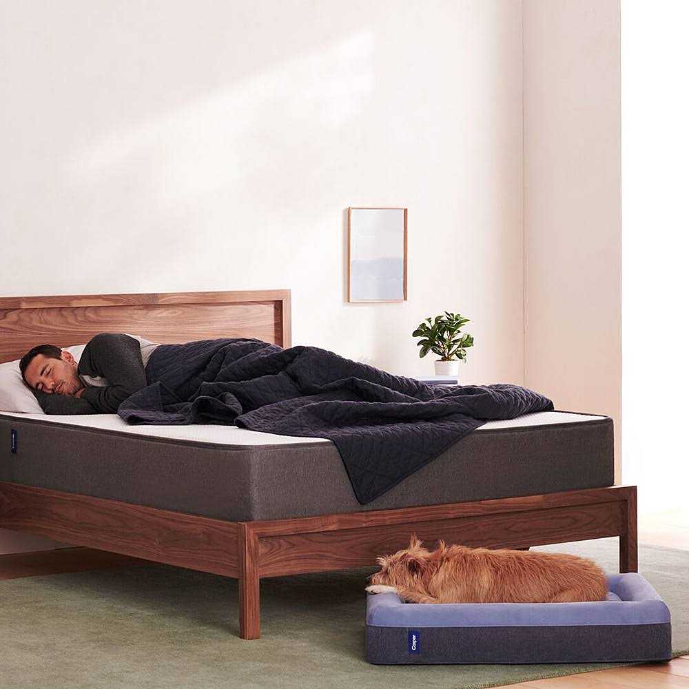 Casper Dog Bed R7825