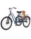 24 26 Inch 7 Speed Adult Tricycle with Front Suspension and Removable Basket J850