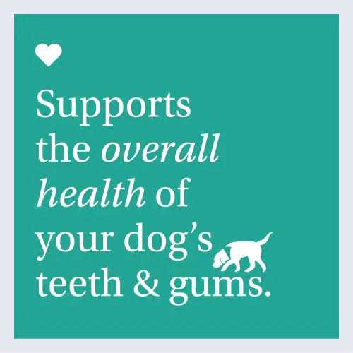 Dog Dental Formula S994411