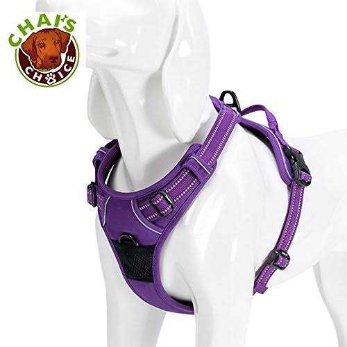 Reflective Dog Harness and Leash I57382