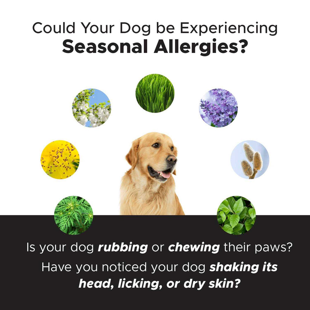 Dog Soft Chews U8246