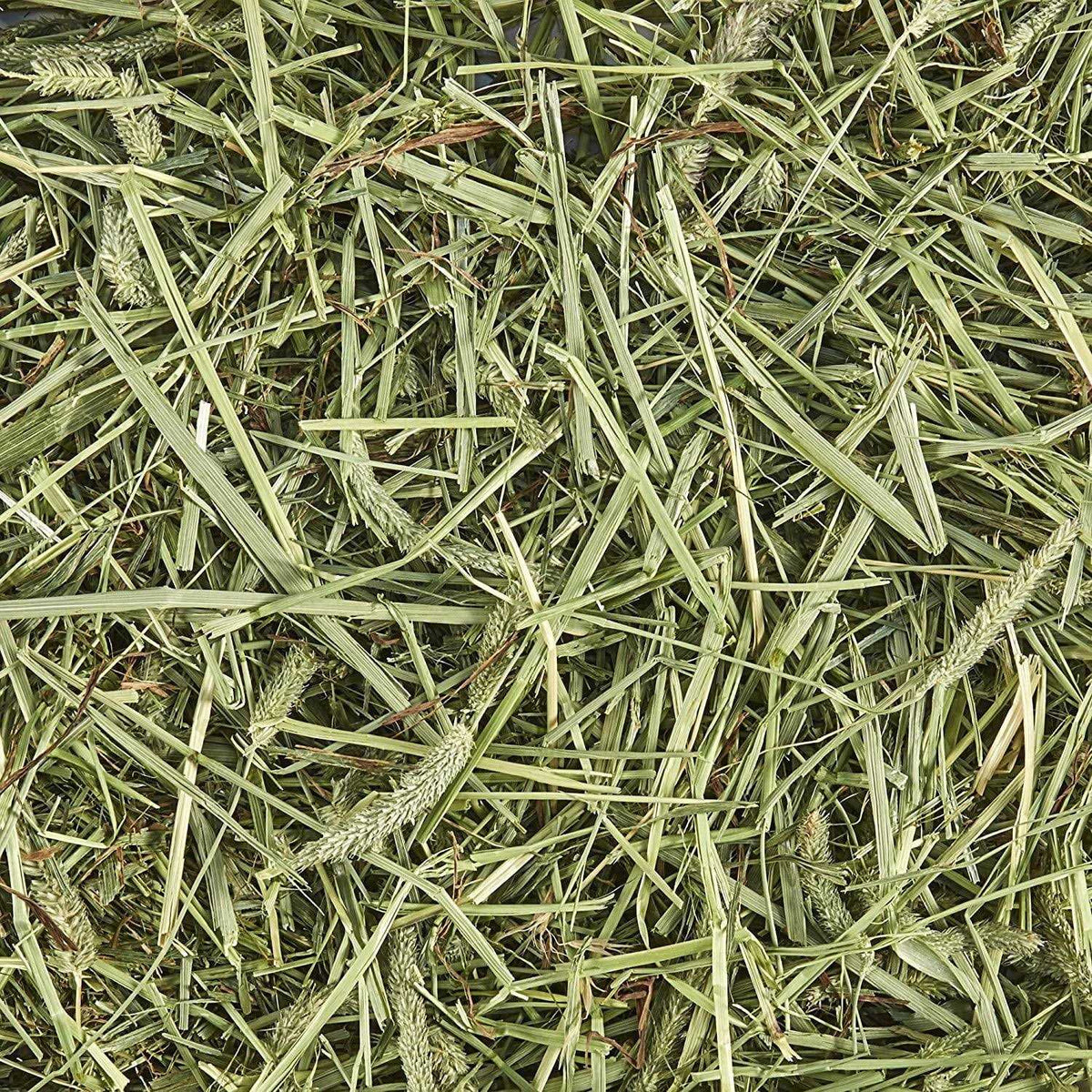 Natural Timothy Hay M9665