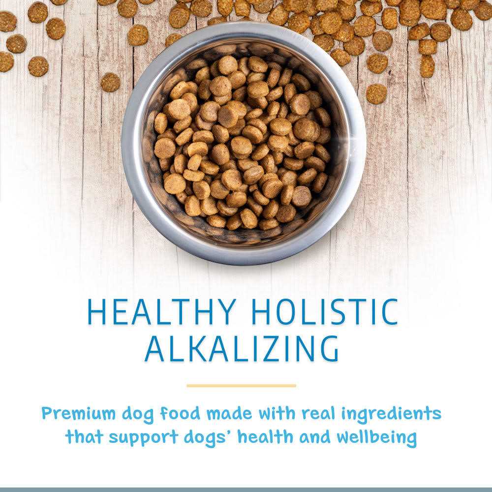 Holistic Dry Dog Food N752