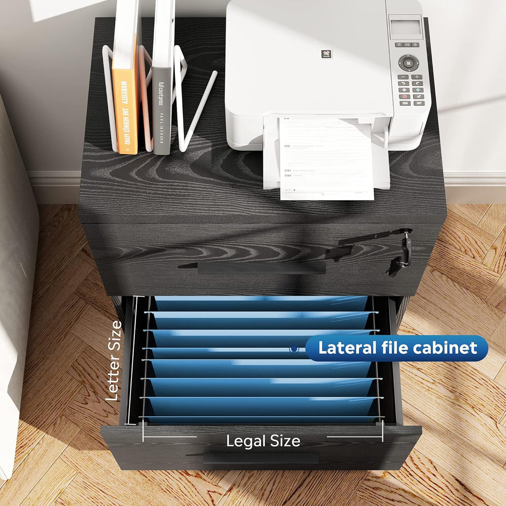 Black 2-Drawer Wood Lateral File Cabinet with Lock A1325