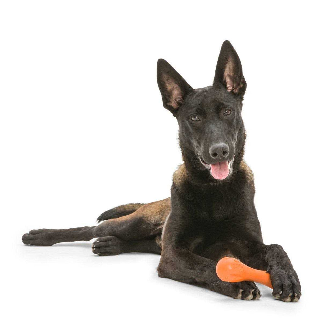 Dog Toy L115468