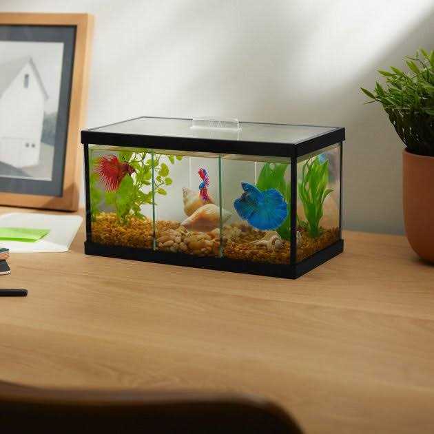 3 Betta Aquarium with Divider E1448