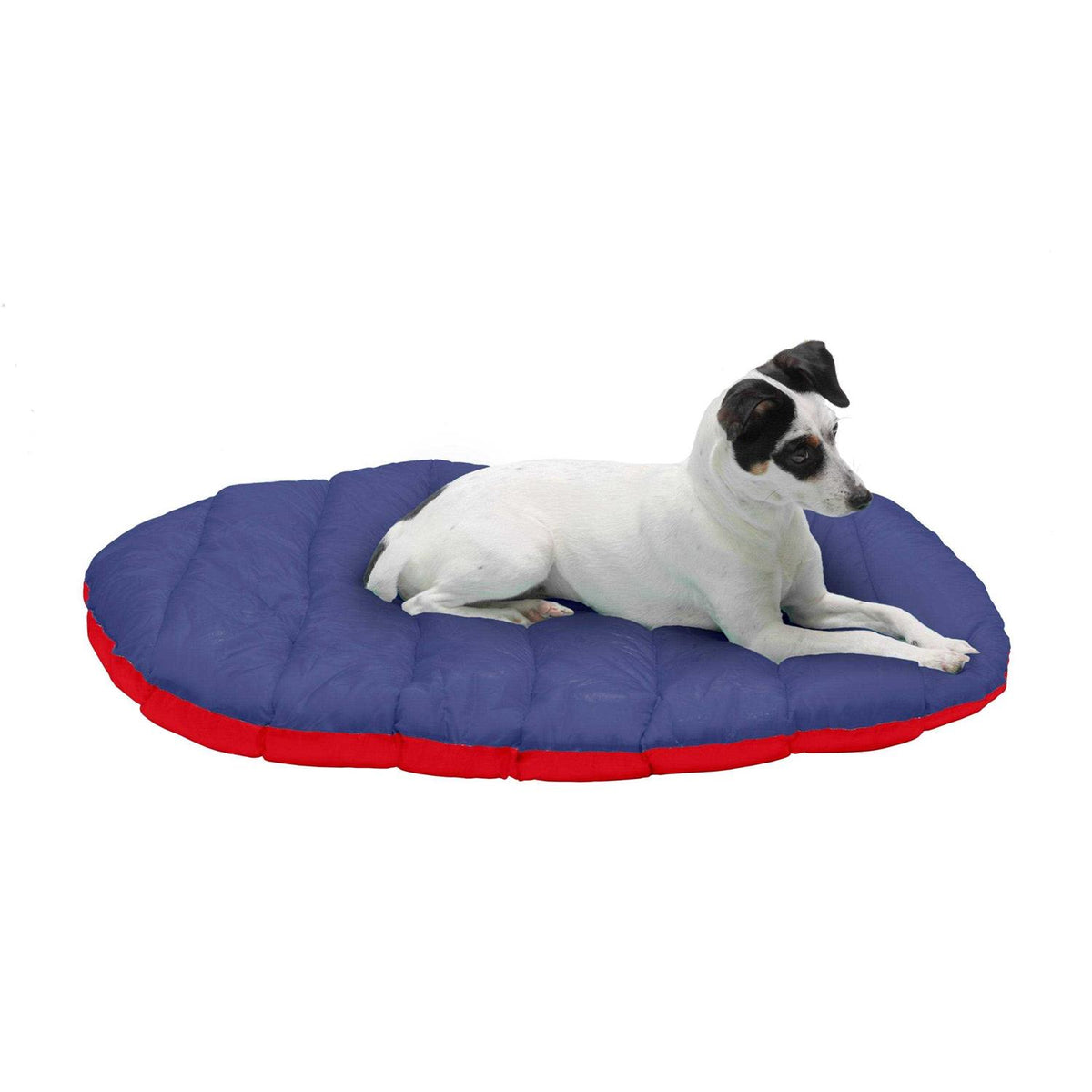 Packable Travel Dog Bed U953