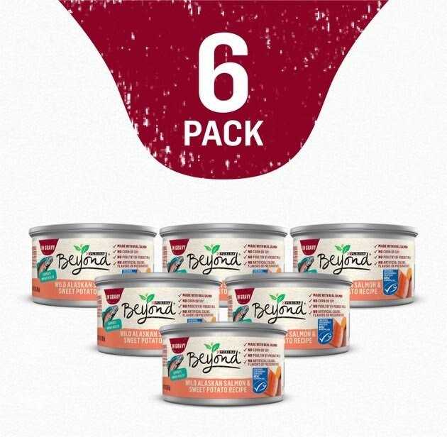 Grain Free Salmon & Sweet Potato Cat Food P313