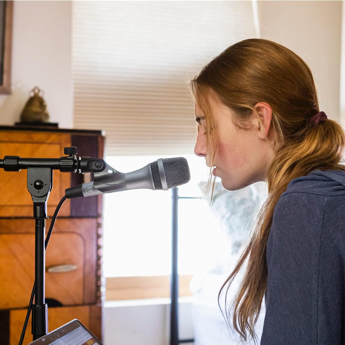 Dynamic Microphone Vocal with Super-Cardiod Unidirectional Black D841882