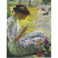 Impressionism Transformed Paperback N510