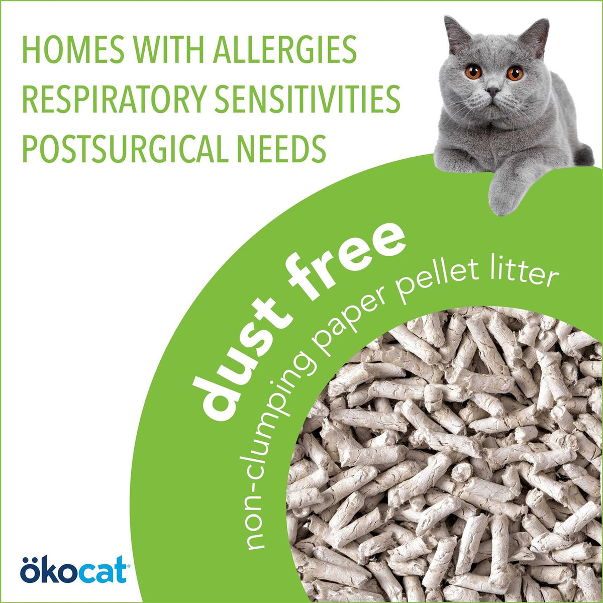 Dust Free Non-Clumping Paper Pellet Cat Litter O5939