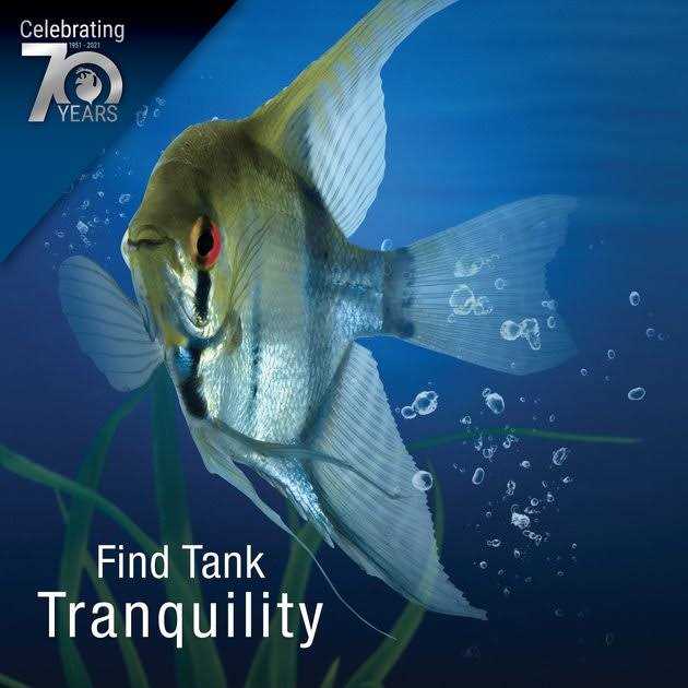 1.5 Gallon LED Cube W88316