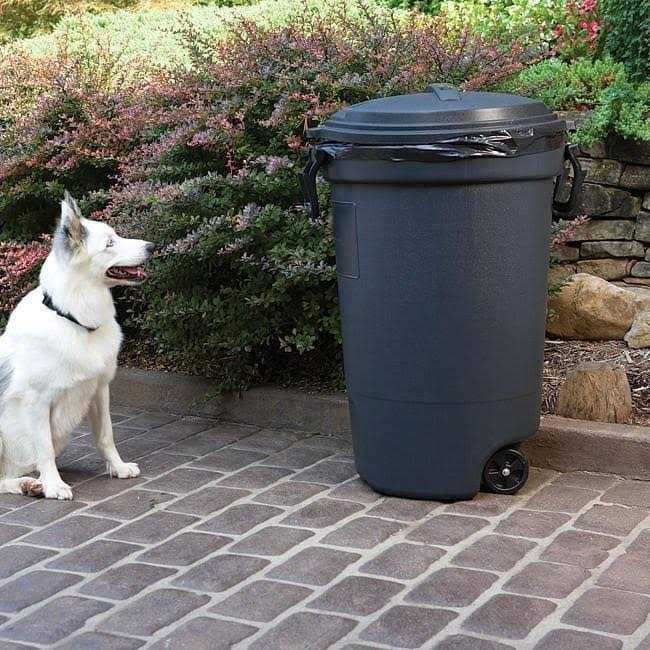 Outdoor Pet Barrier C220822