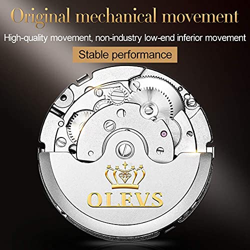 Self Winding Automatic Mechanical Tourbillon Stainless Steel Waterproof Luminous Dress Wrist Watches W567079