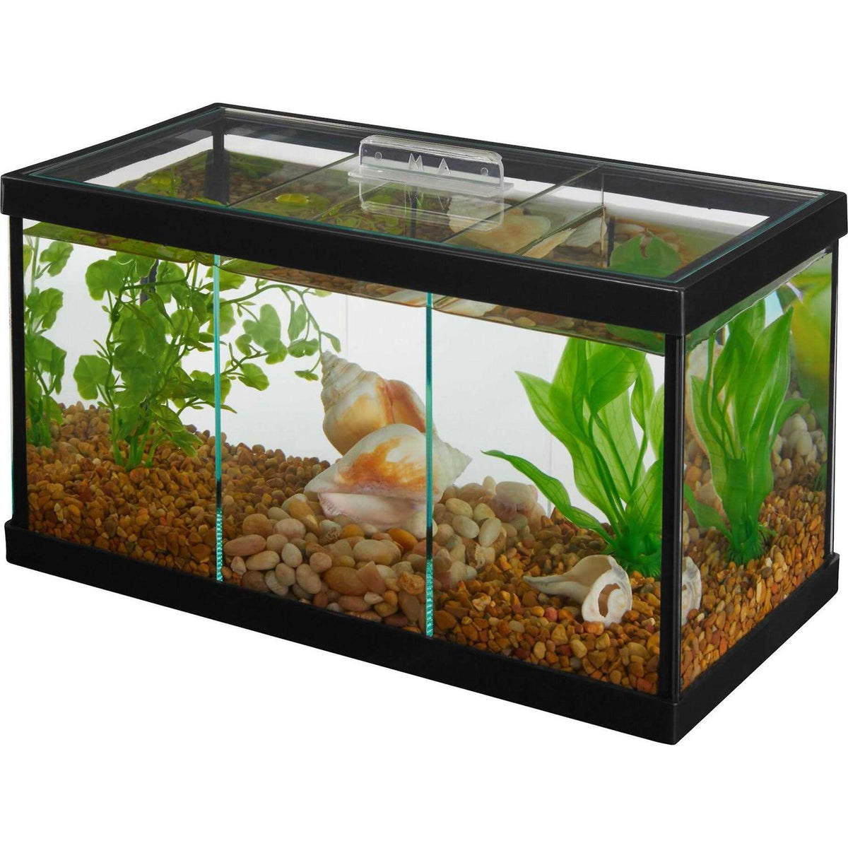 3 Betta Aquarium with Divider E1448