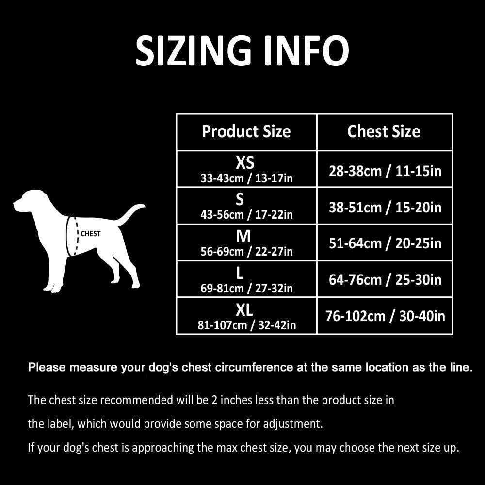 Reflective Dog Harness and Leash I57382
