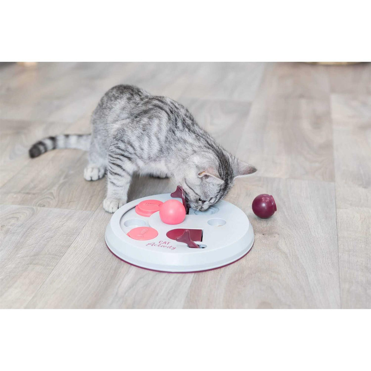 Cat Activity Flip Board T46852