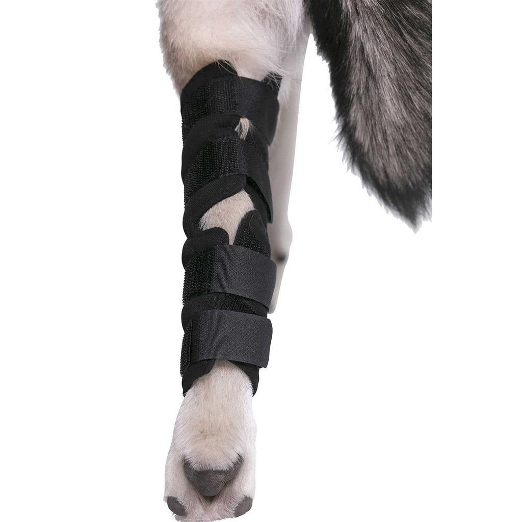 Dog Hock Brace Rear Leg Joint Wrap L786118