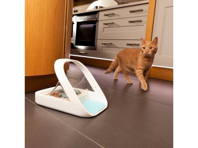 Microchip Pet Feeder B37608