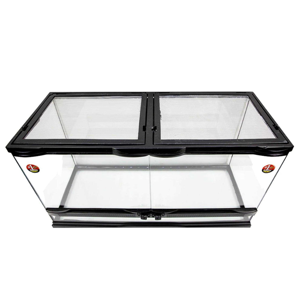 Naturalistic Terrarium X66594