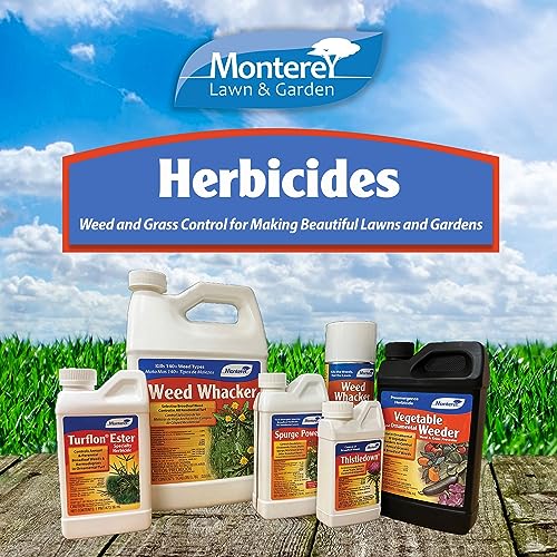 One Pint Spurge Power Herbicide K335082