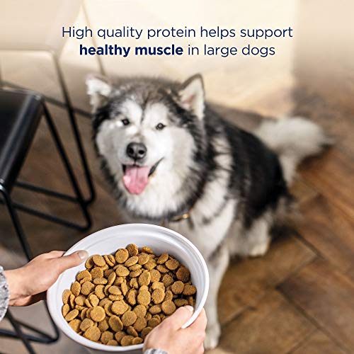 26 Pound Limited Ingredient Dry Dog Food with Lamb & Brown Rice W263725