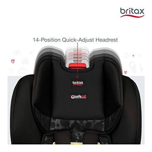 Convertible Car Seat D313631
