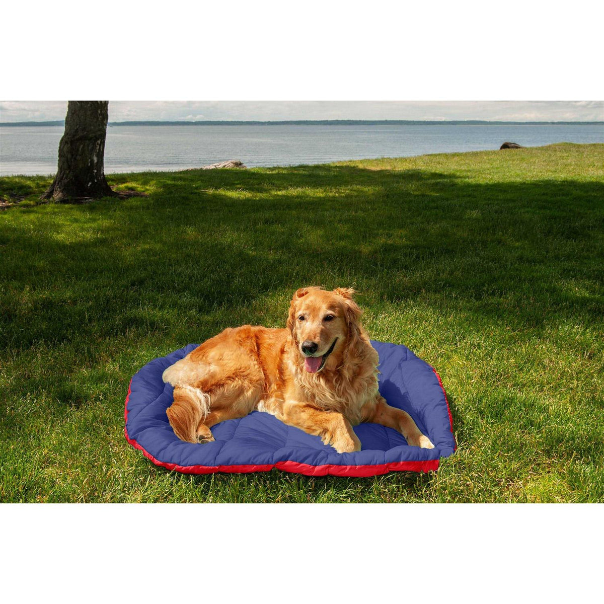 Packable Travel Dog Bed U953