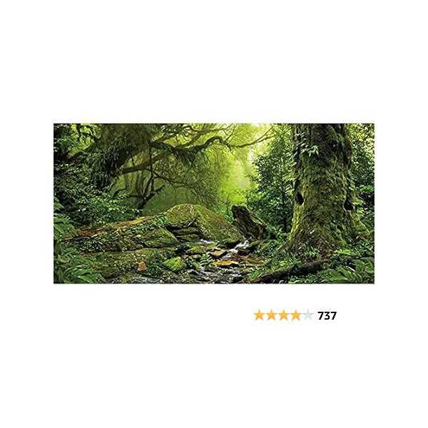 Foggy Forest Reptile Habitat Background H820