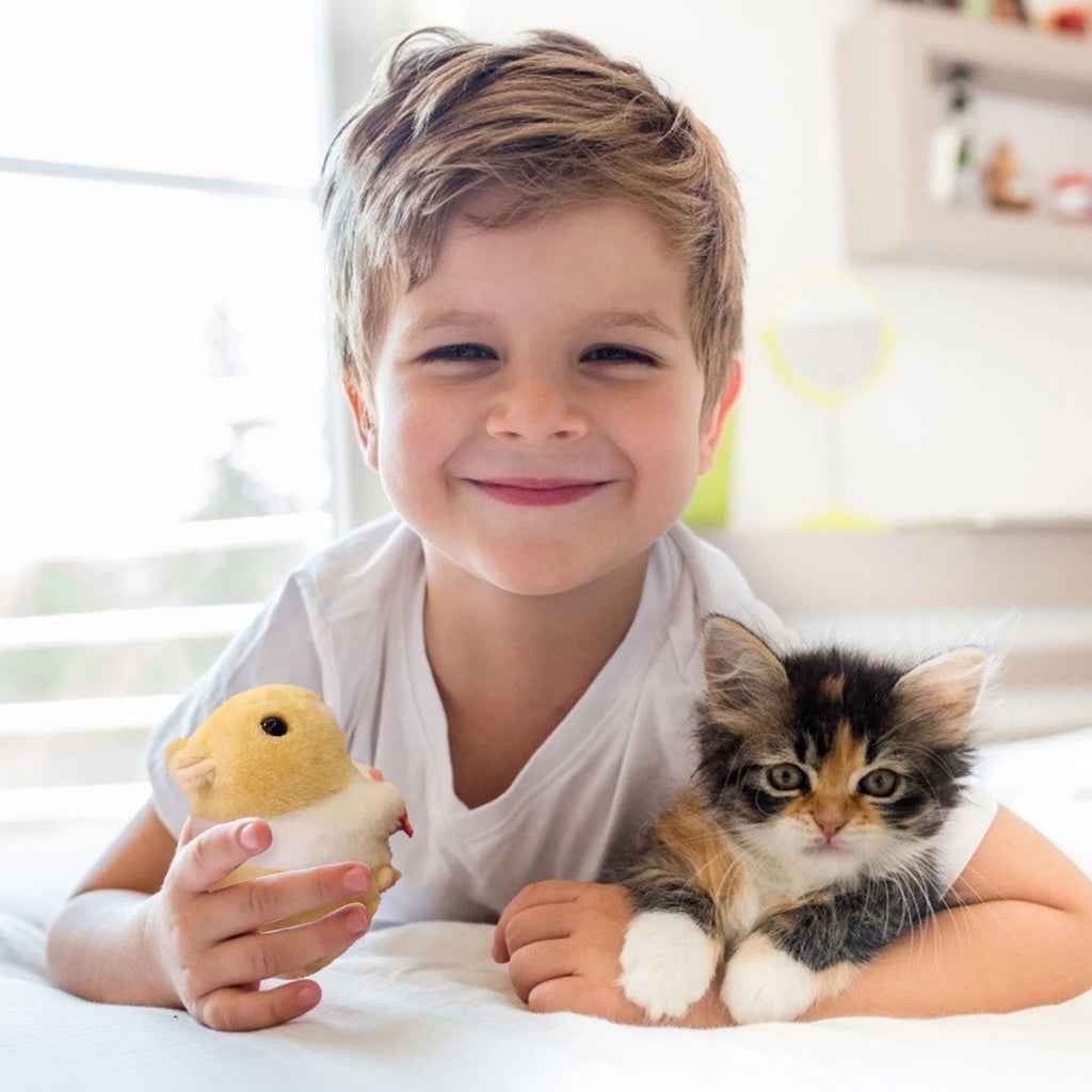 Hamster Plush Toy R435121