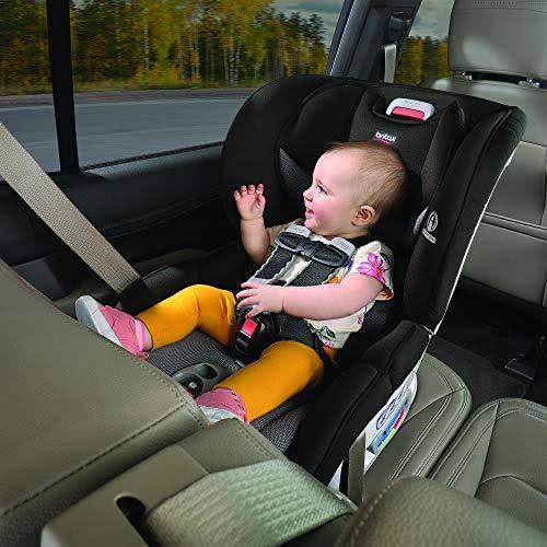 Convertible Car Seat D313631