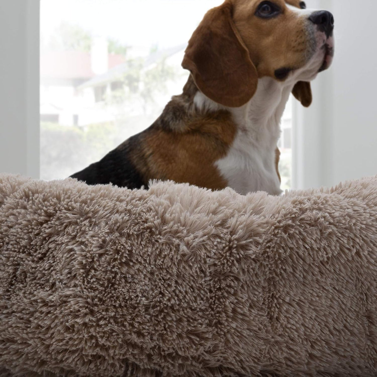 Plush Dog and Cat Bed T954005
