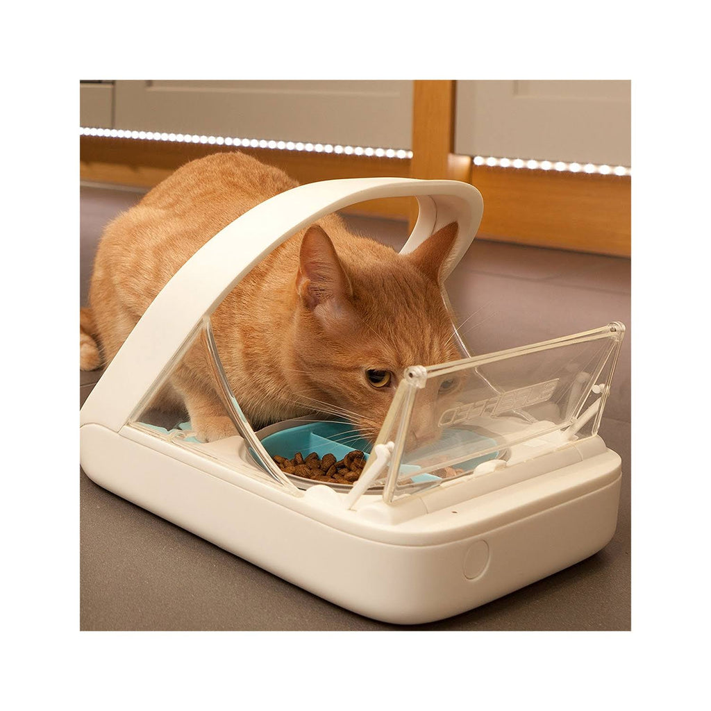 Microchip Pet Feeder B37608
